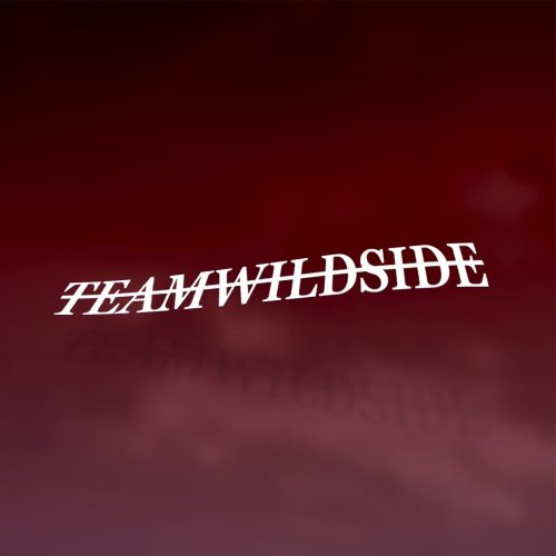 TeamWildSide Matrica - Fehér